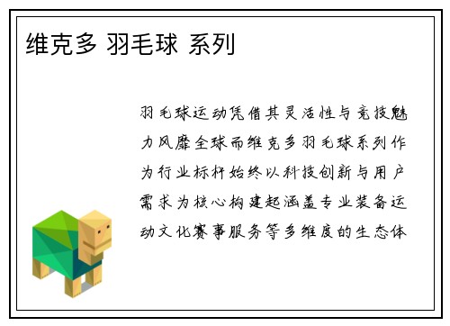维克多 羽毛球 系列