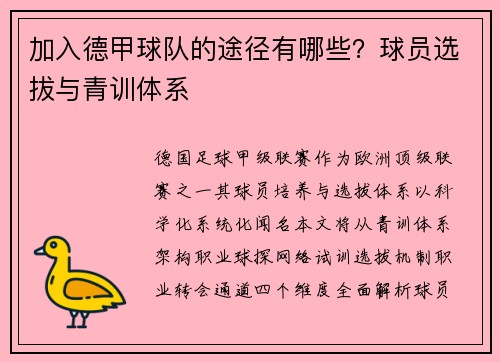 加入德甲球队的途径有哪些？球员选拔与青训体系