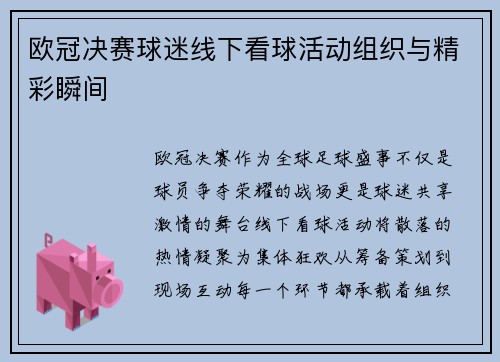欧冠决赛球迷线下看球活动组织与精彩瞬间