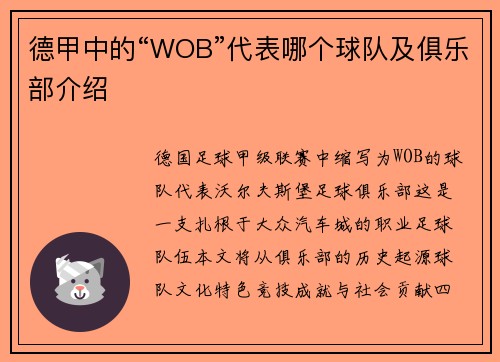 德甲中的“WOB”代表哪个球队及俱乐部介绍